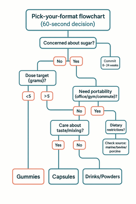 How collagen is digested and absorbed diagram