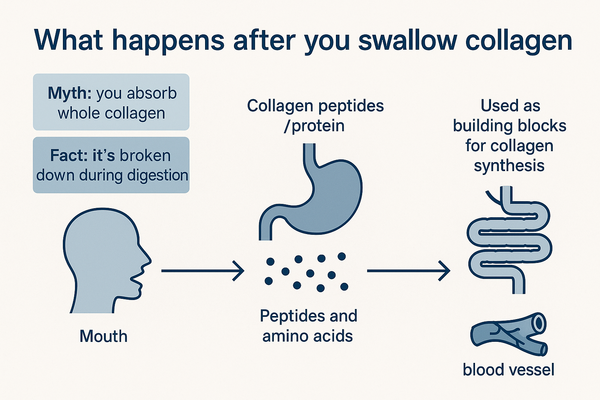 Collagen dose math comparison infographic