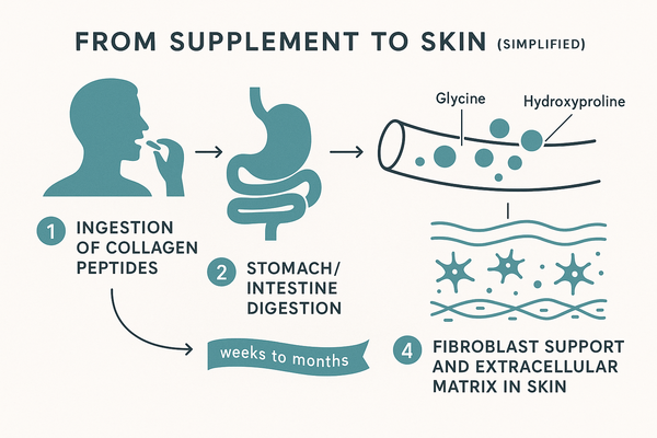 Collagen timeline and supplement label checklist