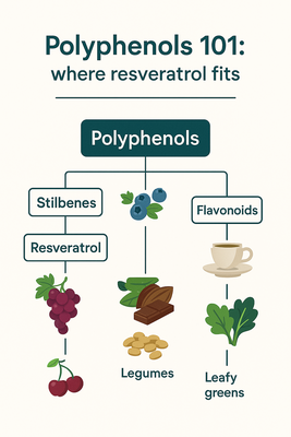 Surrogate markers vs clinical outcomes infographic for resveratrol studies