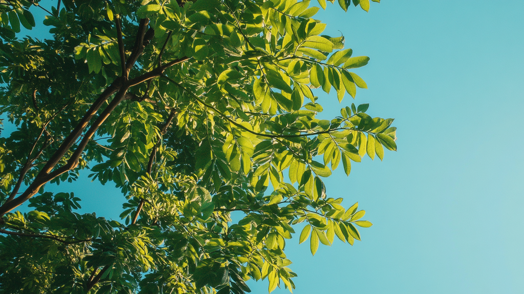 မုန့်လာခါ (Moringa) ဟာ သင့်ကျန်းမာရေးအတွက် တကယ်ကောင်းမလား သင့်နေ့စဉ် WELLNESS အတွက် အဓိပ္ပါယ် gìရှိလဲ